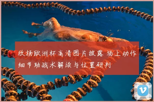 欣杨欧洲杯高清图片披露 场上动作细节助战术解读与位置研判