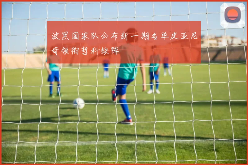 波黑国家队公布新一期名单皮亚尼奇领衔哲科缺阵