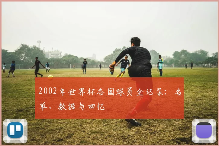 2002年世界杯各国球员全记录:名单、数据与回忆